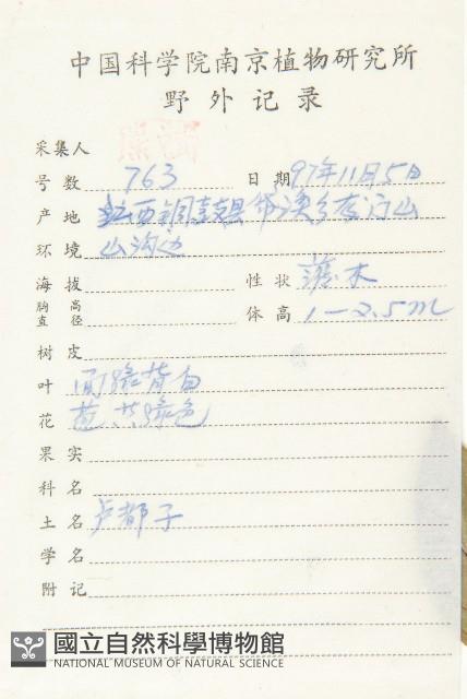 木半夏藏品圖，第2張