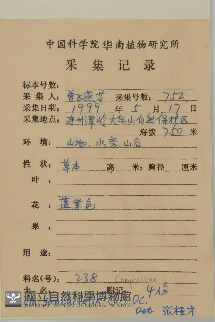 紫背草藏品圖，第2張