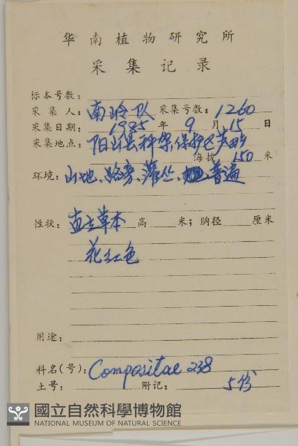 紫背草藏品圖，第2張