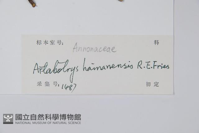 沙堡暗羅藏品圖，第2張