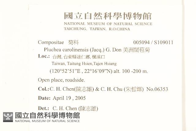 艾納香藏品圖，第2張