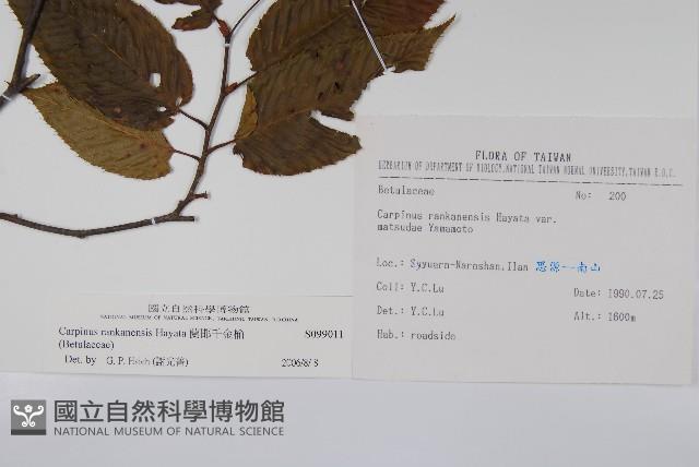 蘭邯千金榆藏品圖，第2張