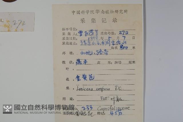 山銀花藏品圖，第2張