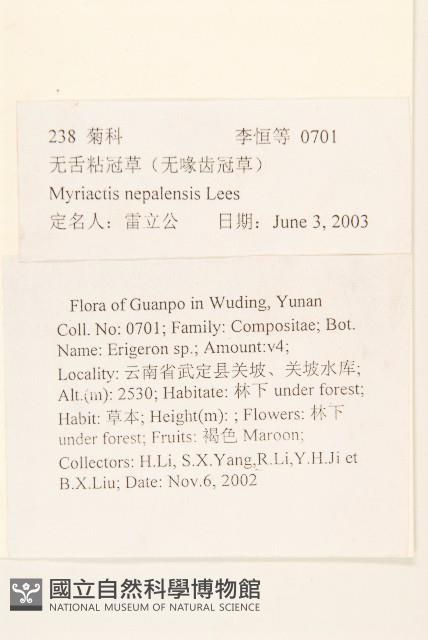 圓舌粘冠草藏品圖，第2張