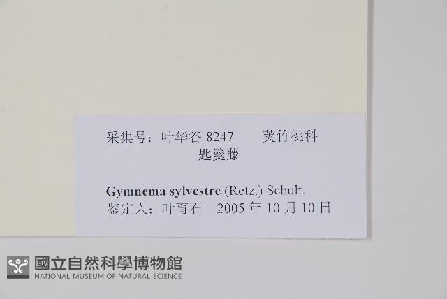 武靴藤藏品圖，第2張