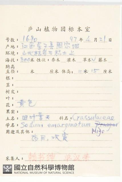 凹葉景天藏品圖，第2張