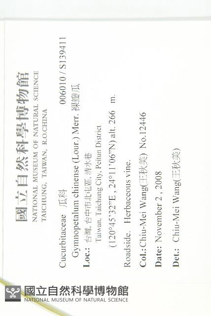 裸瓣瓜藏品圖，第2張