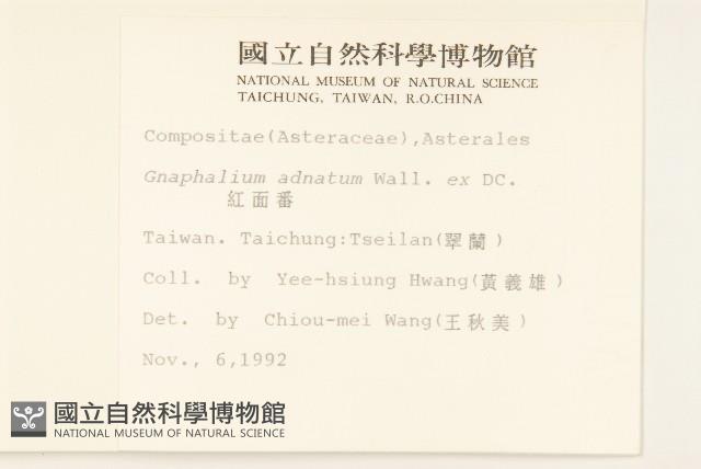 紅面番藏品圖，第2張