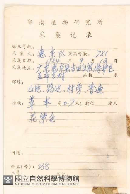 嶺南野菊藏品圖，第2張