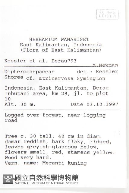 登錄號:S058811藏品圖，第2張