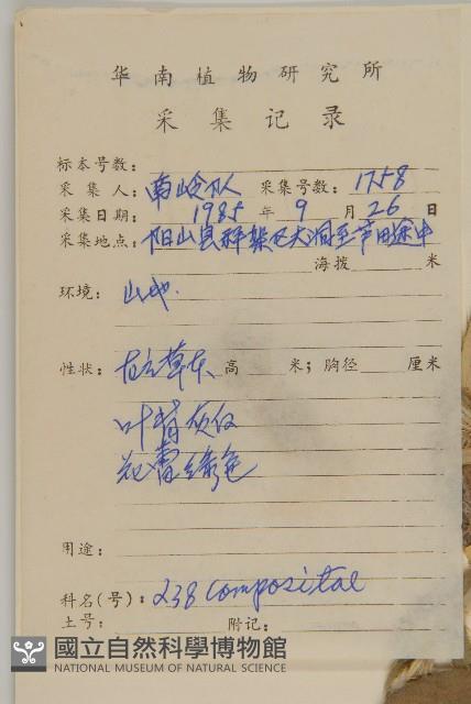 華薊藏品圖，第2張