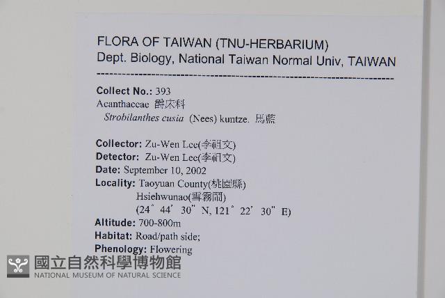 臺灣馬藍藏品圖，第2張