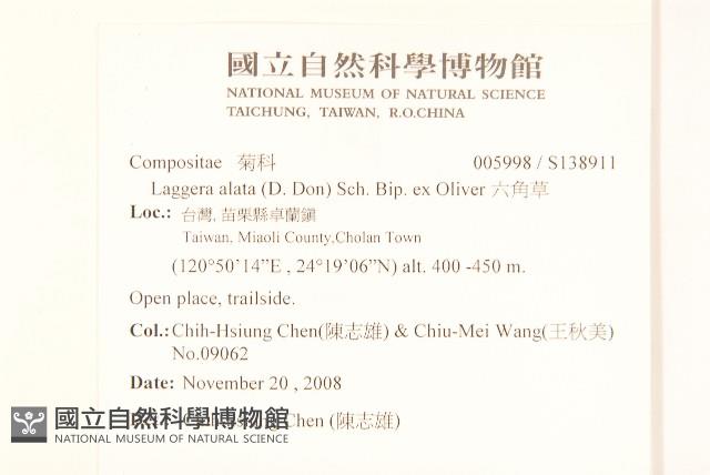 六角草藏品圖，第2張