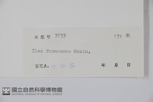 糊樗藏品圖，第2張