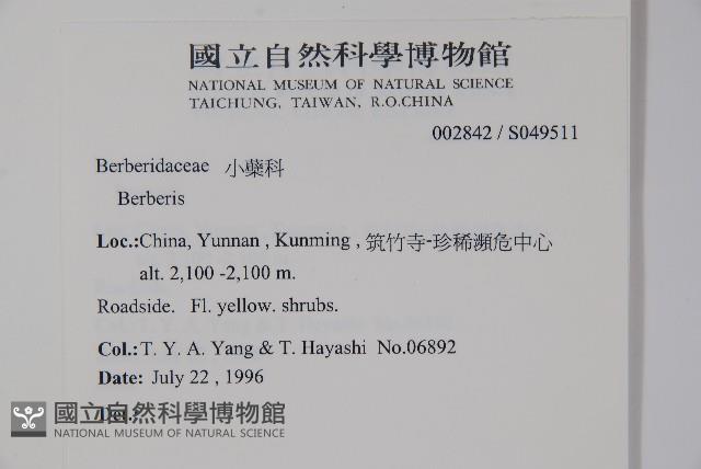 粉葉小檗藏品圖，第2張