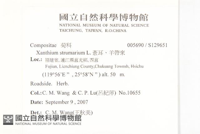 蒼耳、羊帶來藏品圖，第2張