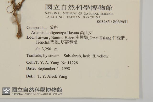 高山艾藏品圖，第2張