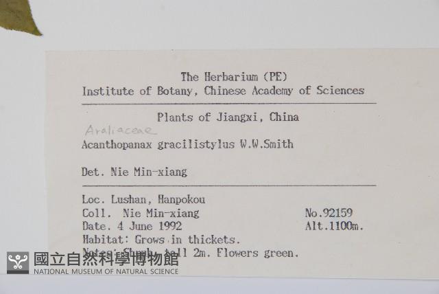 五加藏品圖，第2張