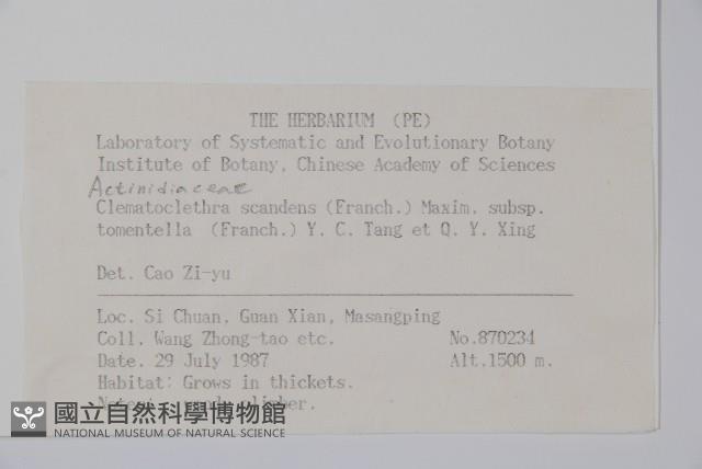 登錄號:S018751藏品圖，第2張