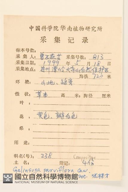 小米菊藏品圖，第2張