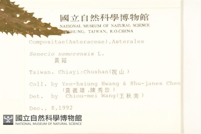 黃菀藏品圖，第2張