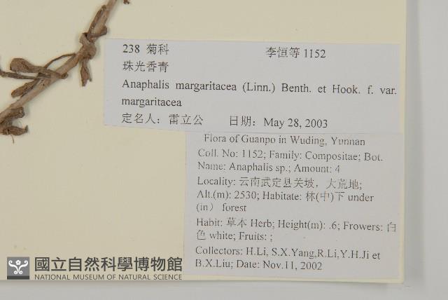 抱莖籟簫藏品圖，第2張