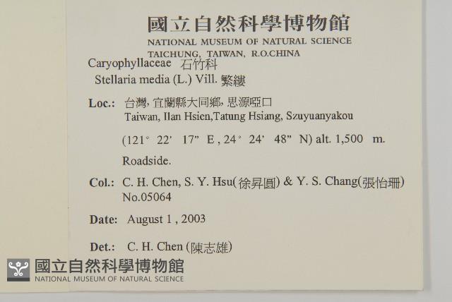 繁縷藏品圖，第2張