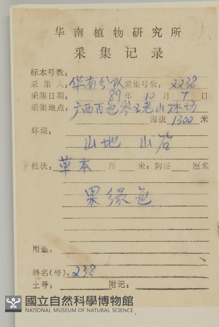 南艾蒿藏品圖，第2張