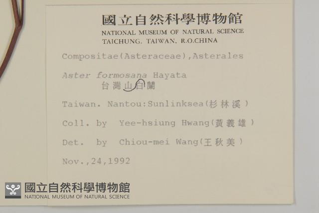 臺灣山白蘭藏品圖，第2張