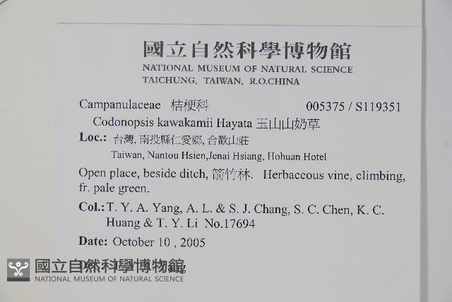 玉山山奶草藏品圖，第2張