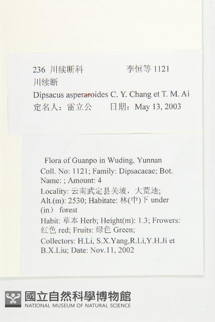 川續斷藏品圖，第2張