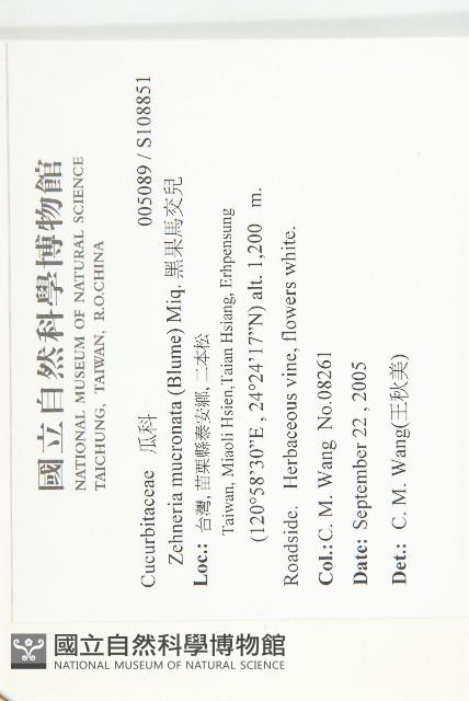 黑果馬交兒藏品圖，第2張