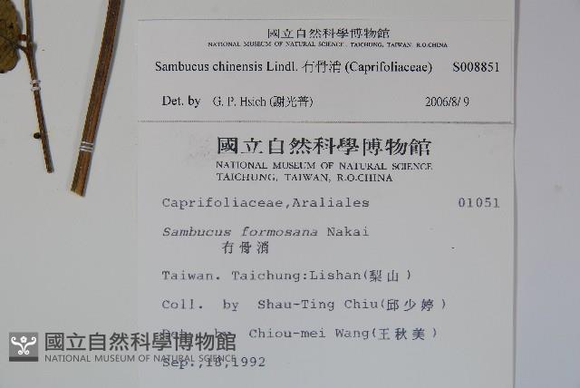 冇骨消藏品圖，第2張