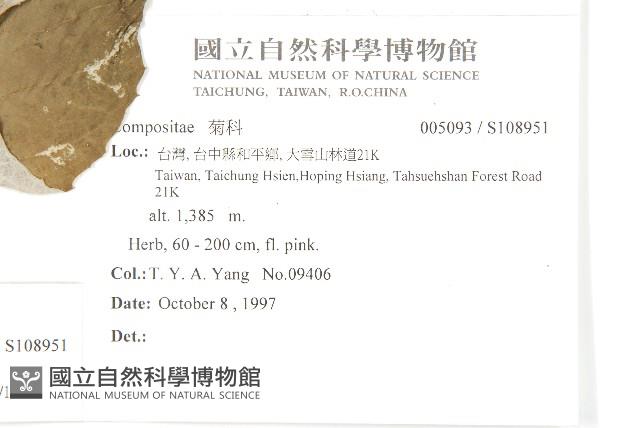 臺灣青木香藏品圖，第2張