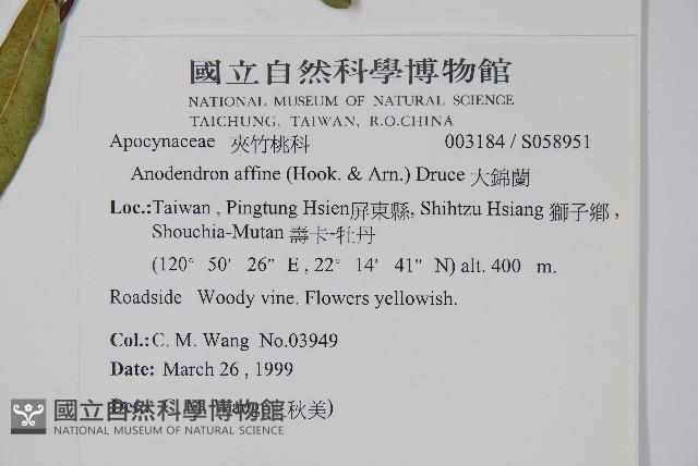 小錦蘭藏品圖，第2張