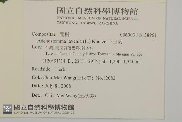 下田菊藏品圖，第2張