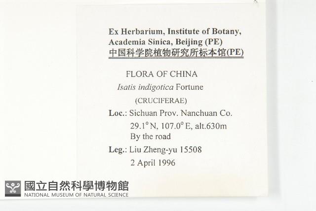 大青藏品圖，第2張