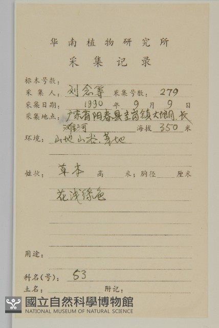 荷蓮豆藏品圖，第2張