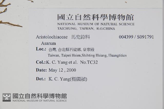 登錄號:S091791藏品圖，第2張