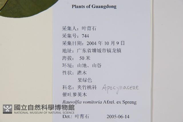 催吐蘿芙木藏品圖，第2張