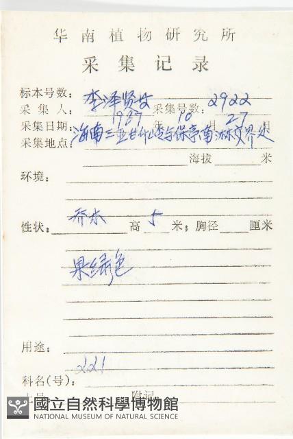 軟毛柿藏品圖，第2張