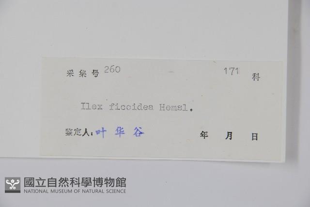 臺灣糊樗藏品圖，第2張