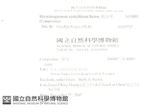 秋分草藏品圖，第2張