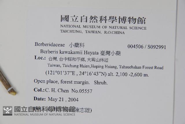 臺灣小蘗藏品圖，第2張