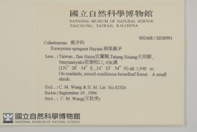 刺果衛矛藏品圖，第2張