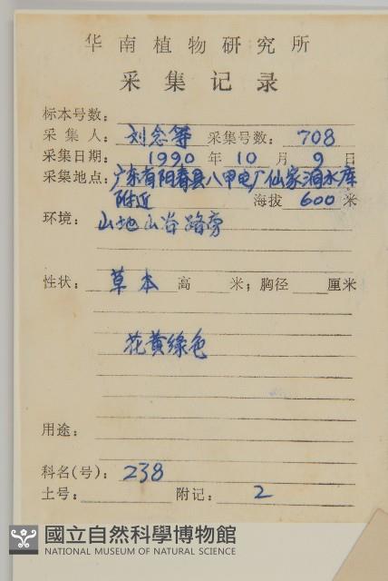 裂葉艾納香藏品圖，第2張