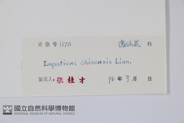 Accession Number:S039631 Collection Image, Figure 2, Total 2 Figures