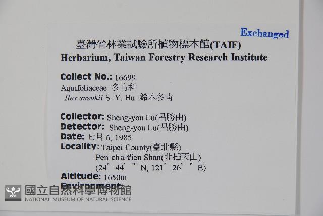 鈴木冬青藏品圖，第2張