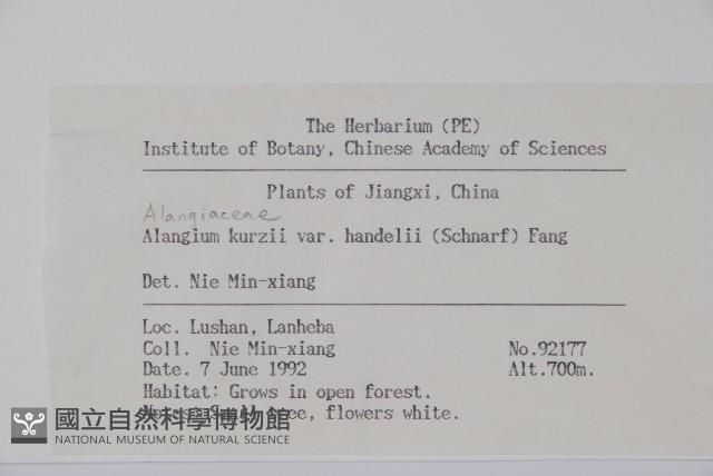 雲山金角楓藏品圖，第2張