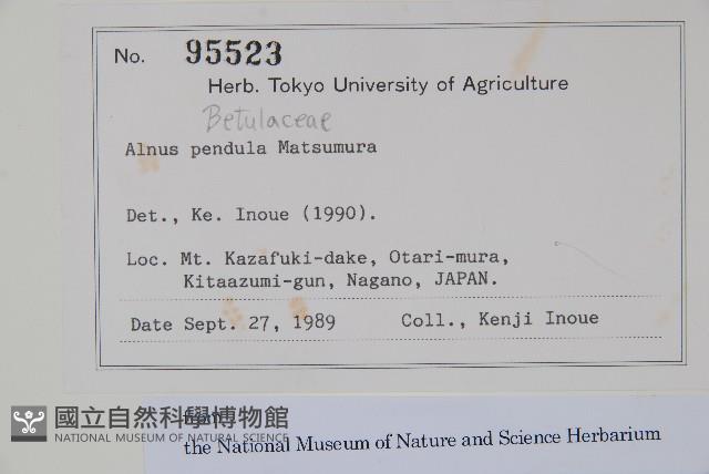 登錄號:S128031藏品圖，第2張